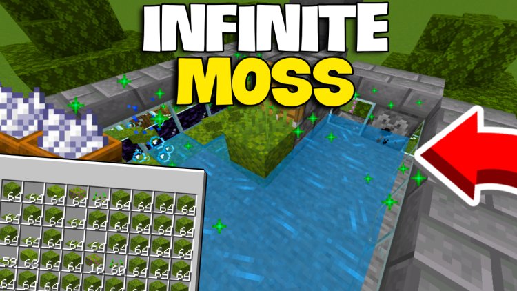 Easy Infinite Moss Farm Minecraft Bedrock 1.21 (AFK)