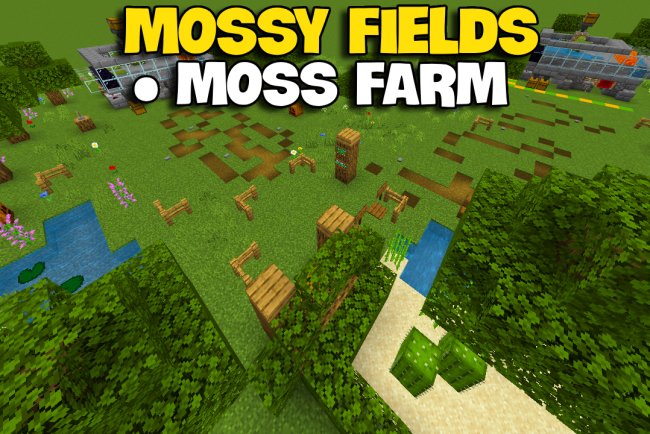 Moss Fields [World]
