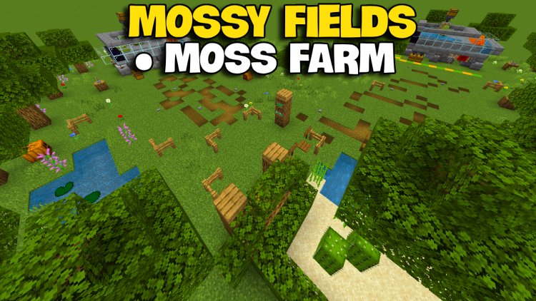 Moss Fields [World]