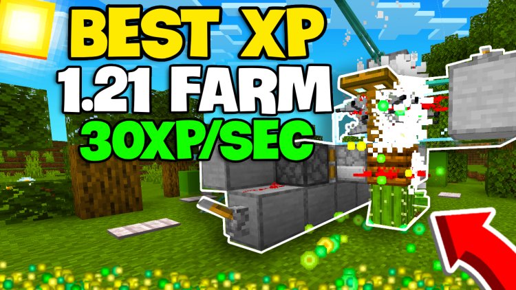 Insane Armadillo XP Farm [AFK]