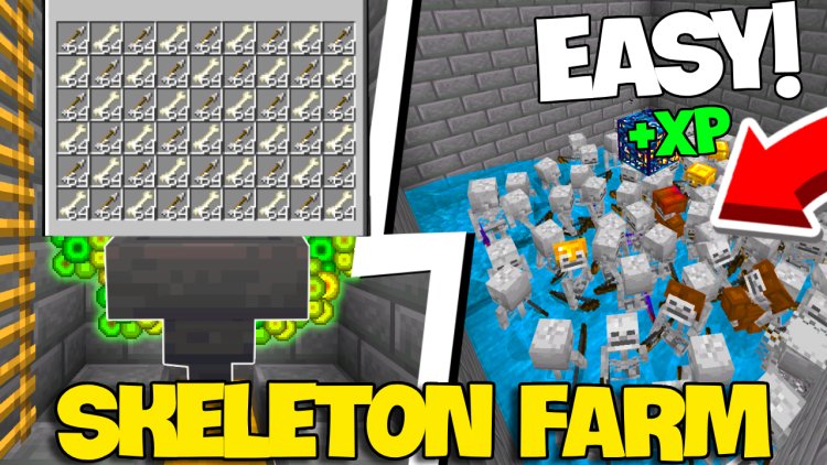 MUST HAVE Skeleton XP Farm Minecraft Bedrock 1.21 (Fully AFK)