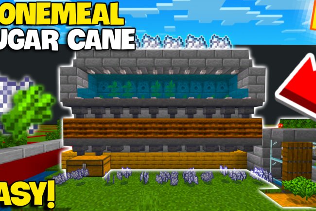 NEW Duel System Sugar Cane + Bonemeal