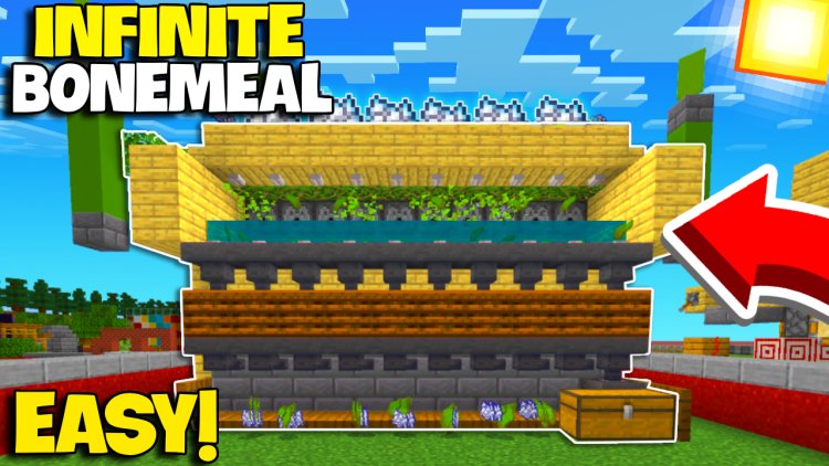 New Infinite Bonemeal Kelp Farm (Zero-Tick)