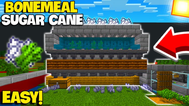 NEW Duel System Sugar Cane + Bonemeal